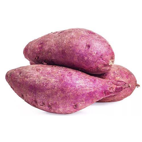 Camote